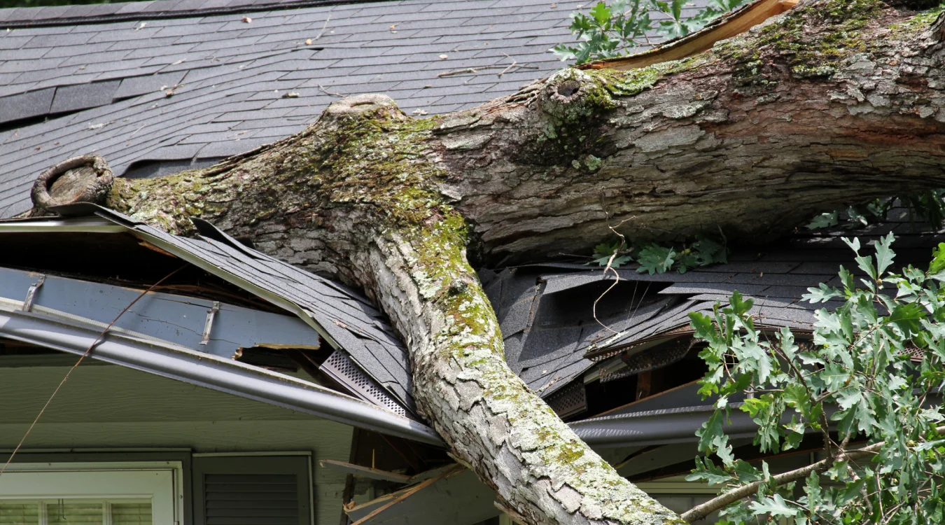 StormDamage American Veteran’s Roofing Hamilton , OH StormDamage American Veteran’s Roofing Hamilton , OH